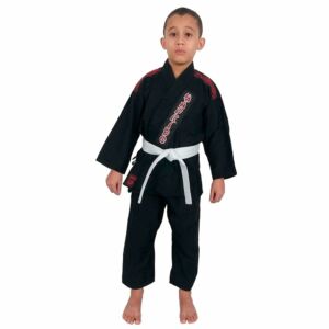 Hapkido Básico Infantil